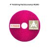 Dia Ceramic Polishing Pad (100 mm)